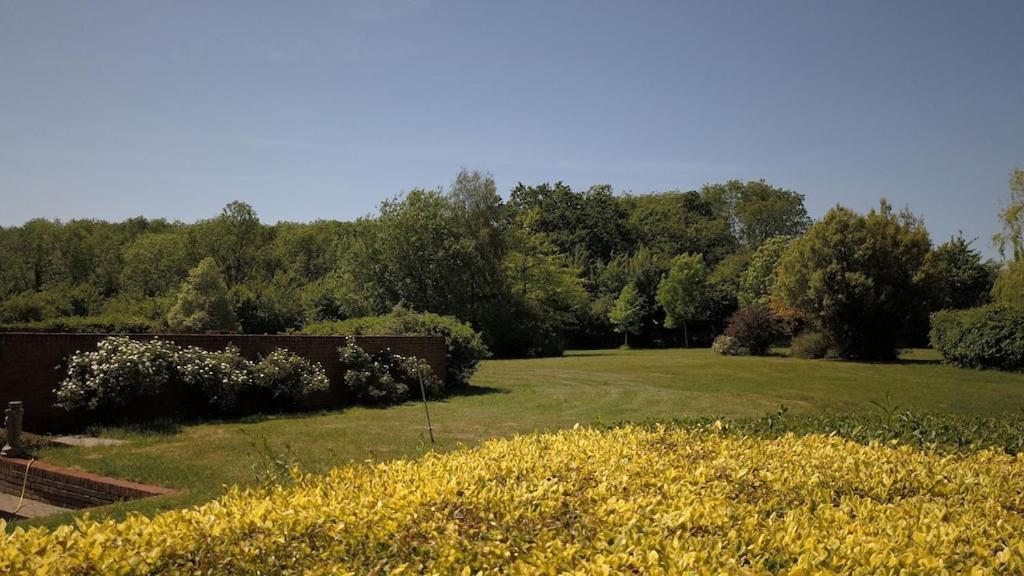 Paddock Barn ~ Short & Long Term Stay, Pets Welcome ~ Woodbridge, Framlingham Ar Cretingham Exterior photo