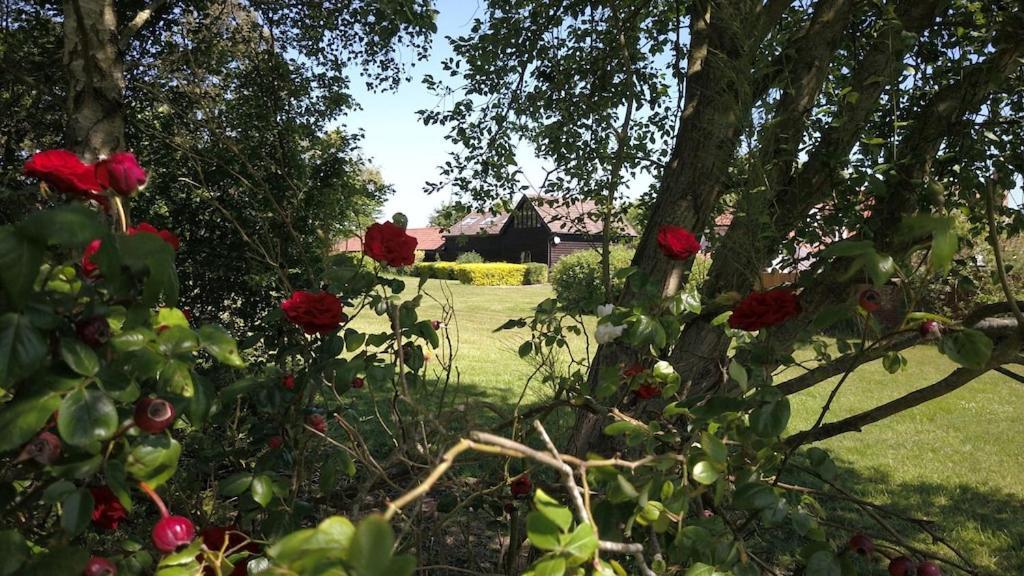 Paddock Barn ~ Short & Long Term Stay, Pets Welcome ~ Woodbridge, Framlingham Ar Cretingham Exterior photo